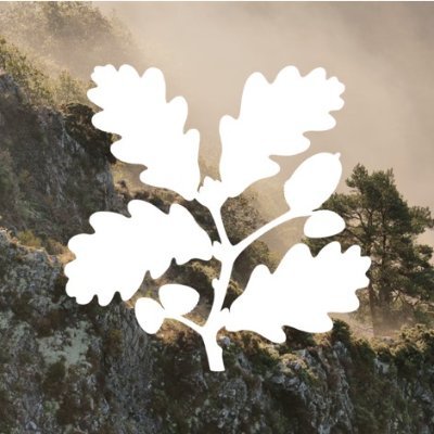 DartmoorNT's profile picture