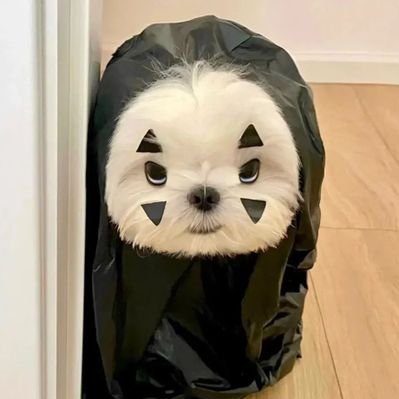 imayple91's profile picture