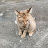 ju's profile picture