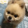 ふみちゃん profil fotoğrafı