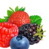 Berry's profile picture