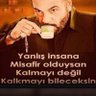 Güzeldost56's profile picture