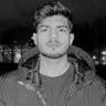 Ameer Hamza's profile picture