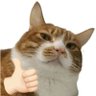 Profilbild von Sabill๐ชฟ