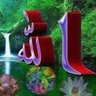 Hafiz Ilyas Arain 的头像