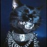 Anlly Valerio's profile picture