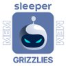 SleeperGrizzlies's profile picture