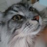 Profilbild von Mathilde