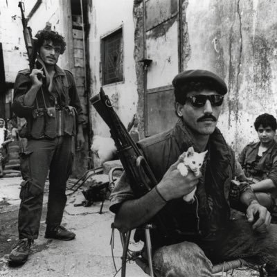 WarMonitors's profile picture