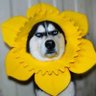 บารมีต๊อก.'s profile picture