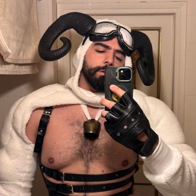Frigo Polar 🧊's profile picture