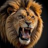 Wise Lion profil fotoğrafı