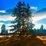 Raindeer Projekt's profile picture