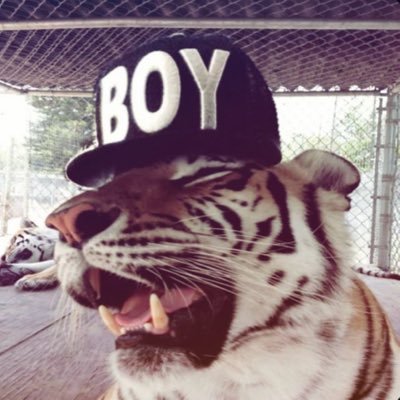 bigsock's profile picture