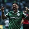 DIDI TRI DA AMÉRICA & DODECACAMPEÃO BR 🏆💚🐷 的头像