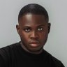 THEACTIVIST's profile picture