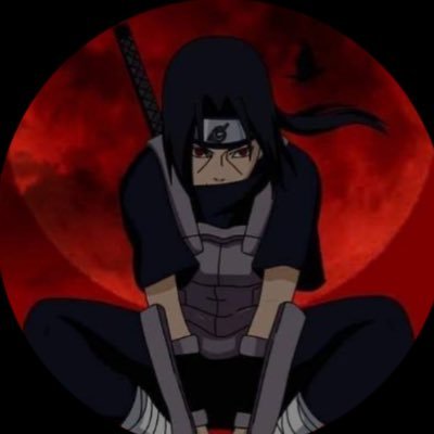 Pollo updates's profile picture