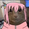 torrikau's profile picture
