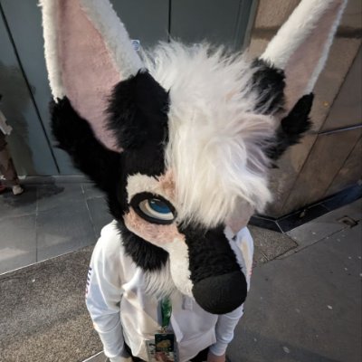 Logi!'s profile picture