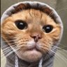 Profilbild von Playerrr