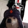 Фото профиля Cachorro Vascaíno💢𓃥