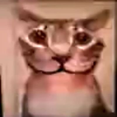 Anny0nXX🗝️'s profile picture