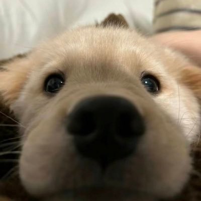 wang3992w's profile picture