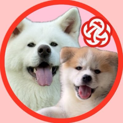 姫ちゃん縁ちゃん's profile picture