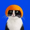 Profilbild von Gypsywater10x