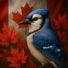 ALN TORS 🇨🇦 的头像