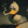 Profilbild von jnlnncln