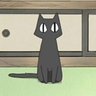 v_tak's profile picture