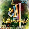 M Ramzan.. profil fotoğrafı