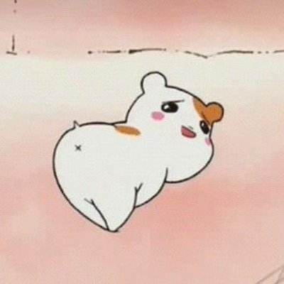 privdool's profile picture