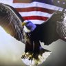 Profilbild von John D.🇺🇸