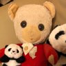 ぴーちゃん profil fotoğrafı