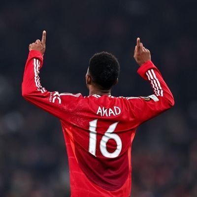 Macho's profile picture