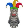 FunnyGuy profil fotoğrafı