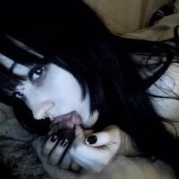 schizokitty's profile picture