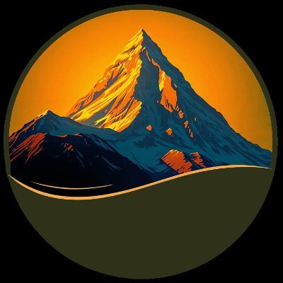 PeakFinInv's profile picture