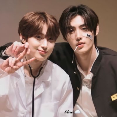 acervo sunsun's profile picture