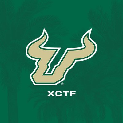 USFXCTF's profile picture