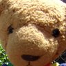 Фото профиля Spaulding T. Bear