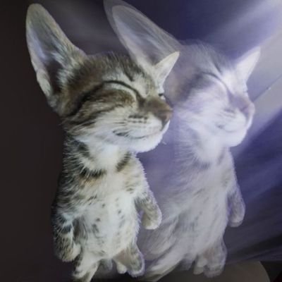 Armazi7th's profile picture
