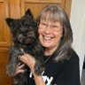 Theresa Cohen's profile picture