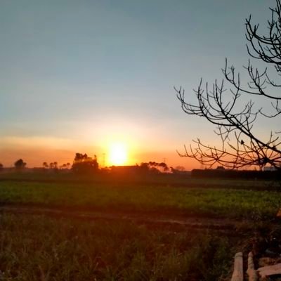 HendMoh205989's profile picture
