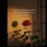 Фото профиля Aleyna Çakır