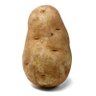 potato 的头像