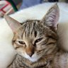 Наталія Довгій profil fotoğrafı