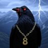🐦⬛😈 Nobles_Tools 🎱🐐 的头像